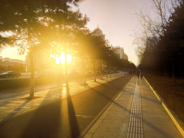 Утро в городе