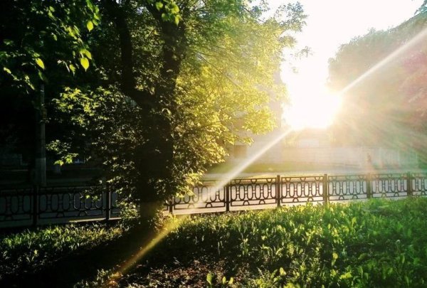 Солнечный денек в городе