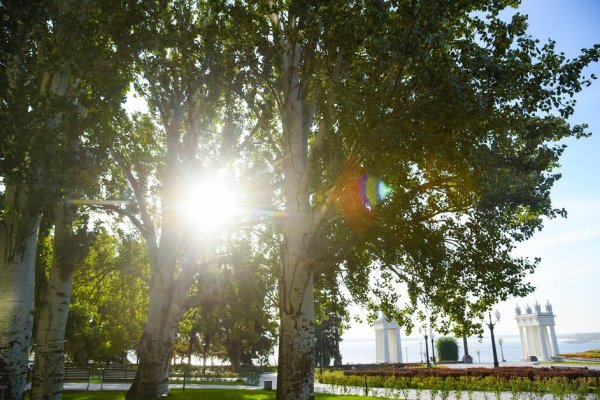 Солнечно без осадков