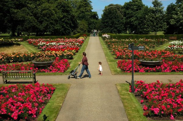 Парк в Лондоне гайд парк