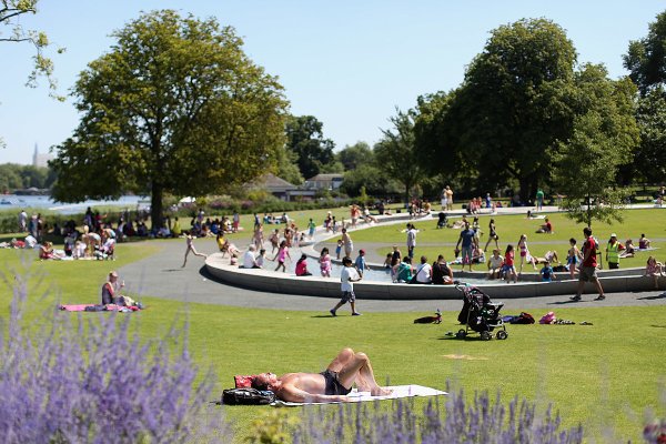 Гайд-парк Hyde Park ивы