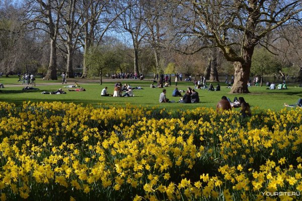 Сент-Джеймсский парк в Лондоне