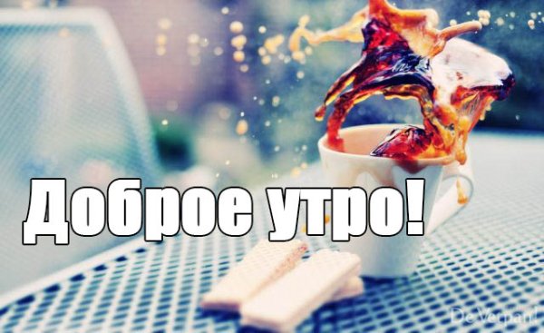 Доброе утро ужасное