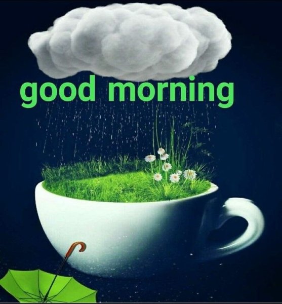 Доброе утро пасмурно