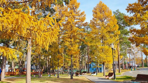 Парк город Челябинск