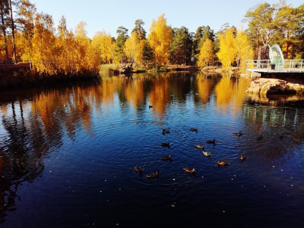 Парк Гагарина Челябинск