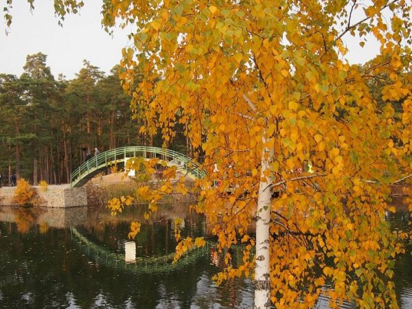 Парк Гагарина осенью Челябинск