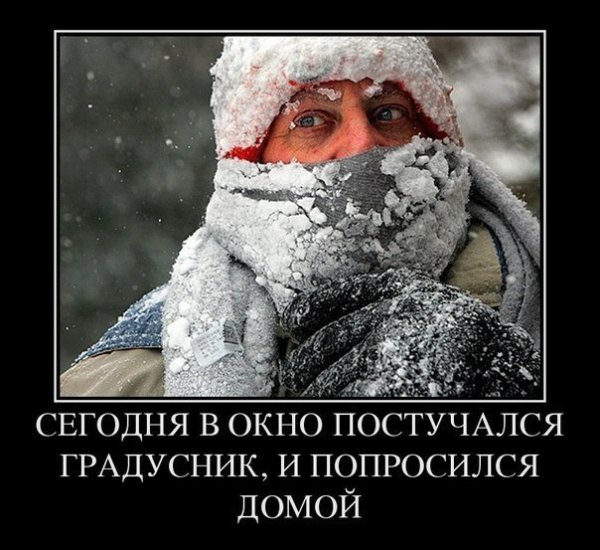 Сильный Мороз прикол