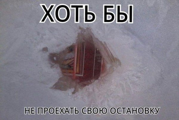 Приколы про Мороз