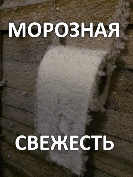 Туалетная бумага морозная свежесть прикол