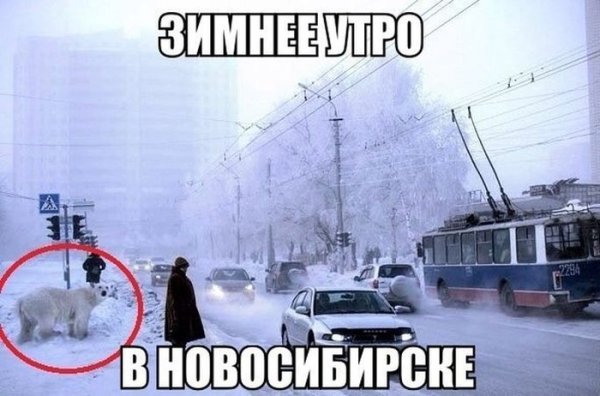 Шутки про Мороз в картинках