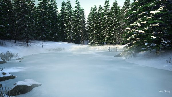 Замерзшее озеро в лесу