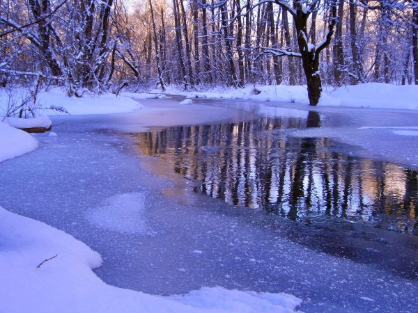 Замерзший водоем
