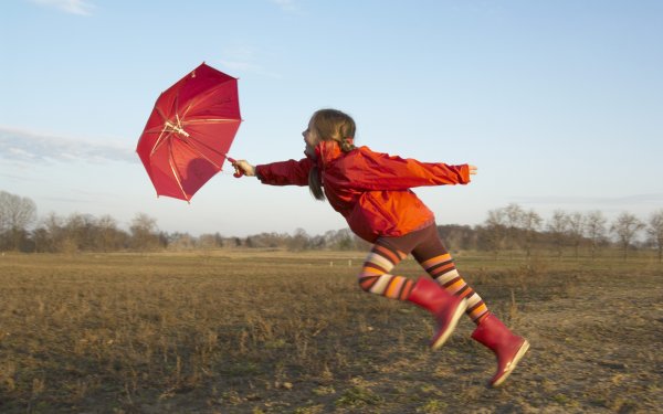 Сильный ветер осень