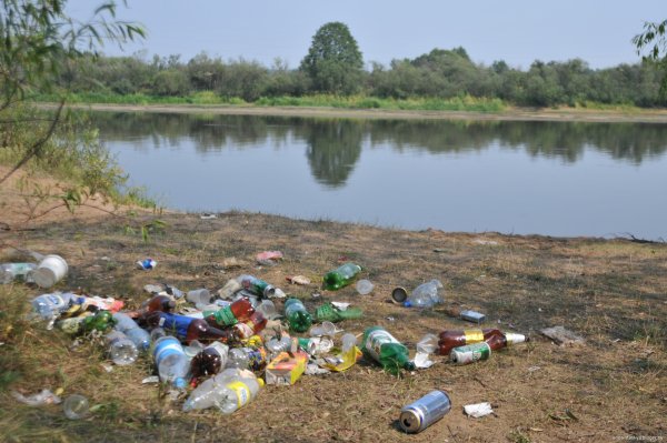 Загрязненный берег реки