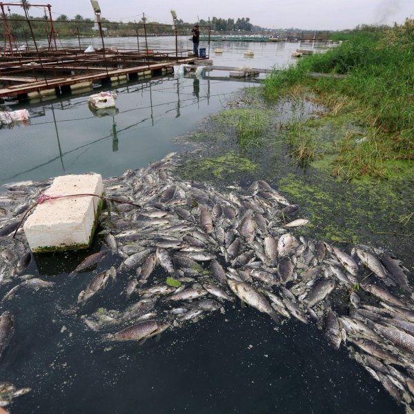 Загрязнение рек