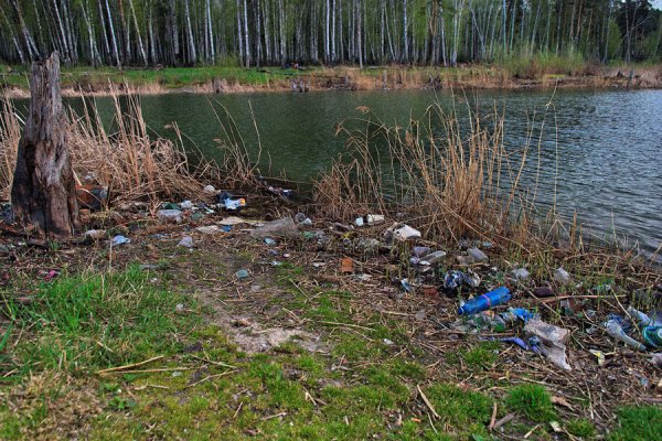Загрязненные озера