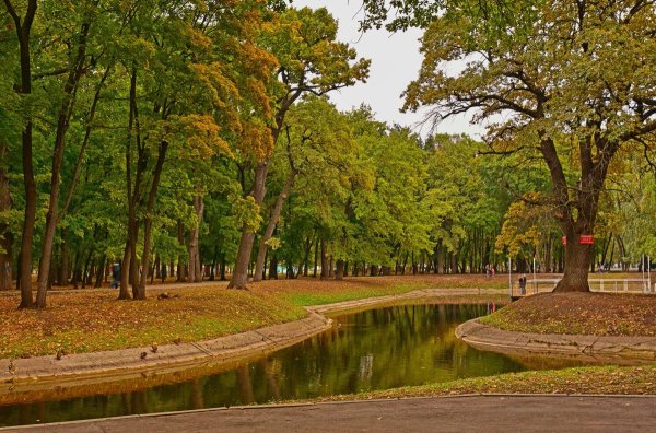 Парки Самары парк Гагарина
