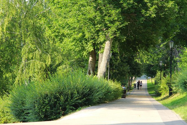 Струковский сад Самара вид сверху