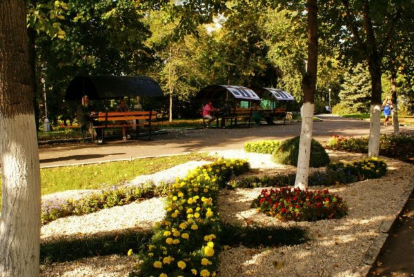 Парк Струковский сад Самара