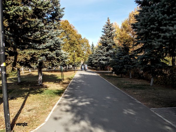 Парк Победы Самара осенью