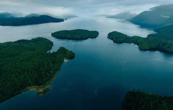 Great Bear Rainforest Канада
