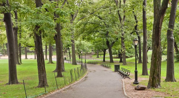 Аллея в Нью Йорке