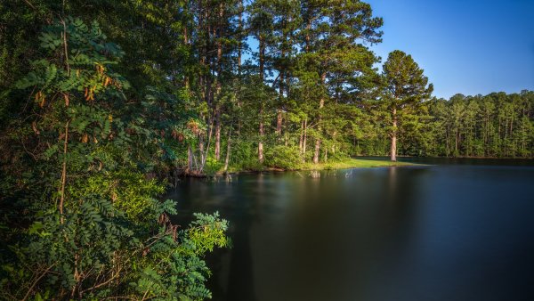 Сосновый Бор Карелия берег