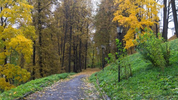 Александровский парк Нижний Новгород