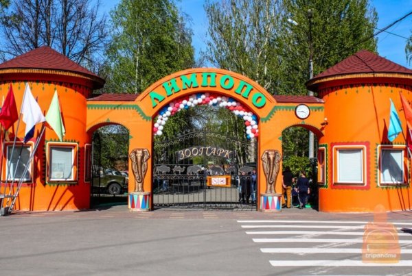 Сормовский парк Нижний Новгород Лимпопо