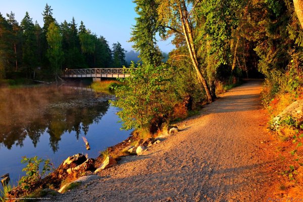 Дорога у реки