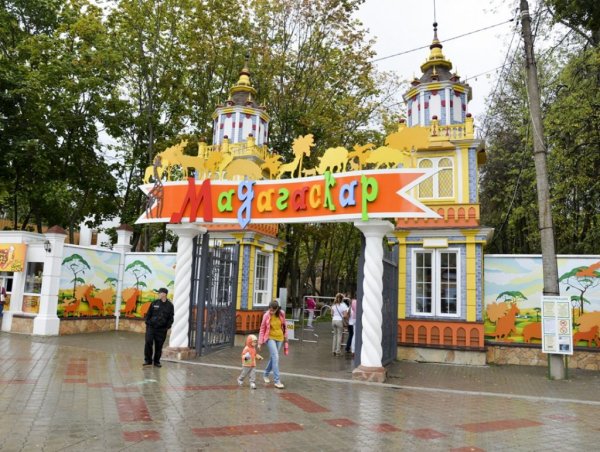 Мадагаскар Нижний Новгород Сормовский парк