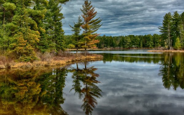 Кленовое озеро лесного заповедника Иллинойса