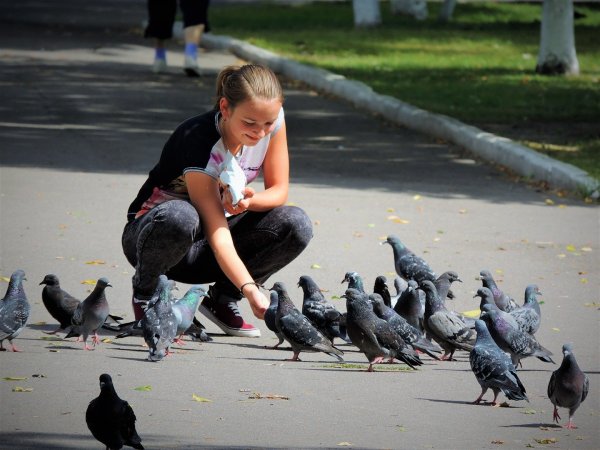 Люди кормят голубей