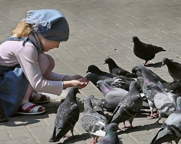 Человек голубь