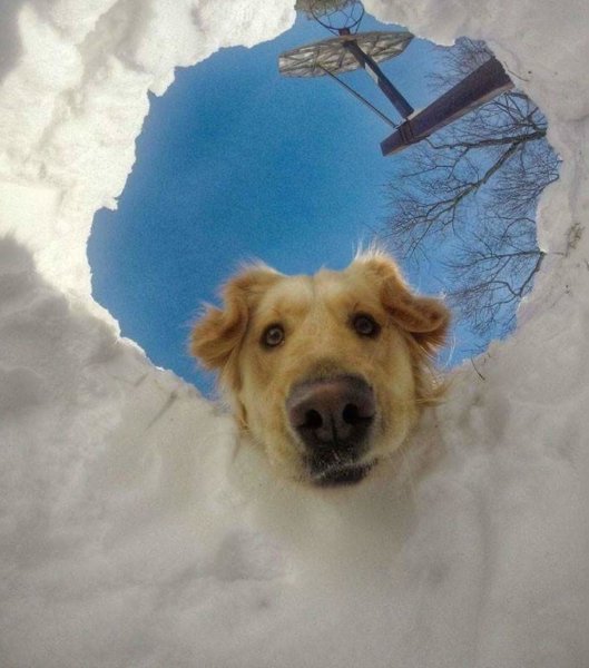 Просыпайся Весна пришла