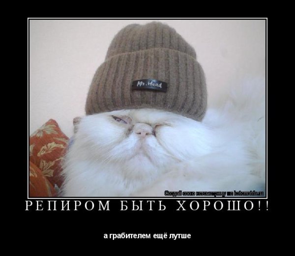 Суровая шапка