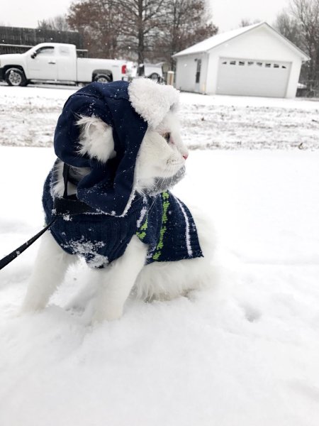 Много снега юмор