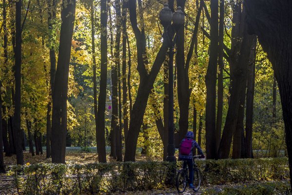 Соколиная гора Измайловский парк