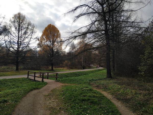 Измайловский парк