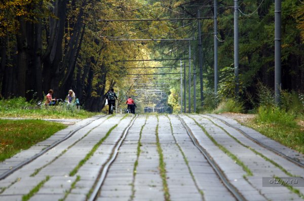 Московский проспект Измайловский парк