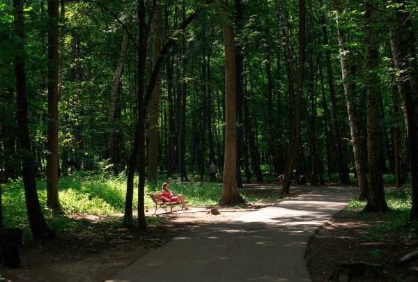 Измайловский парк ПКИО