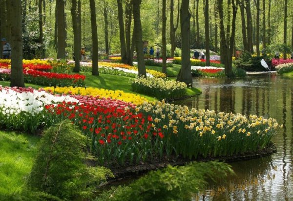 Нидерланды весенний парк Keukenhof