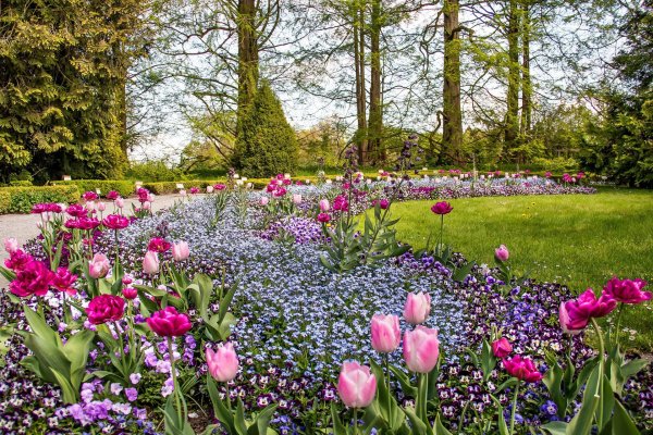 Весенний сад (Spring Topiary Garden)