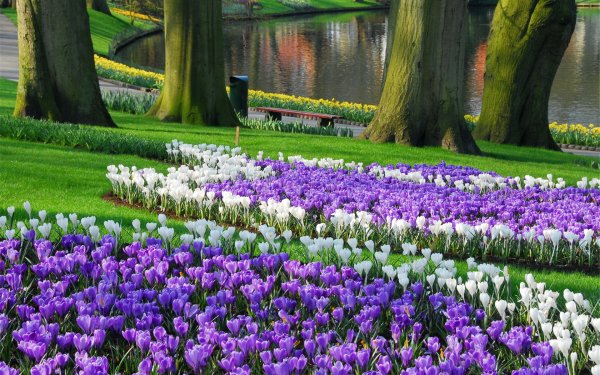 Keukenhof Tulip Garden