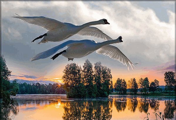 Храм природа Клин журавлей