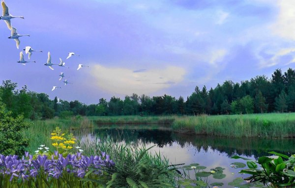 Пейзажи весенние и летние