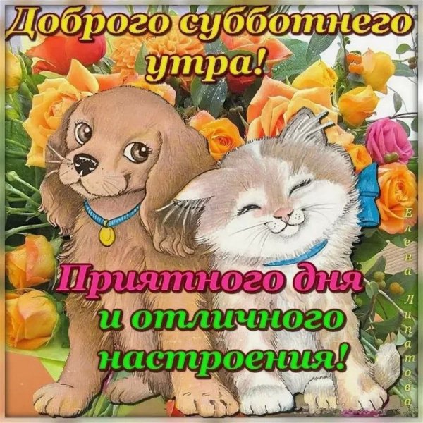 С добры м суббоьним утрои