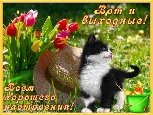 Хороших выходных и отличного настроения