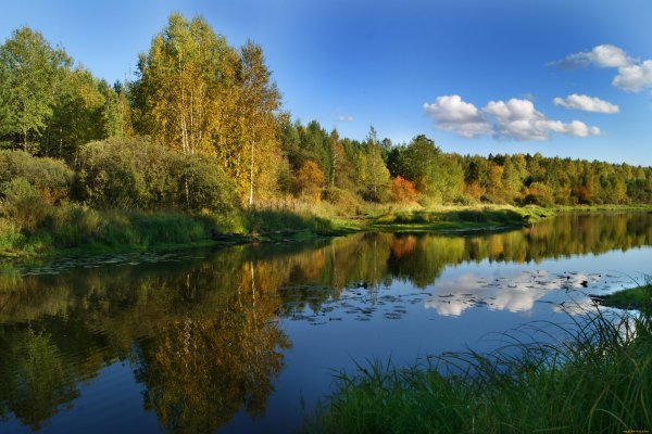 Река Тулва осень